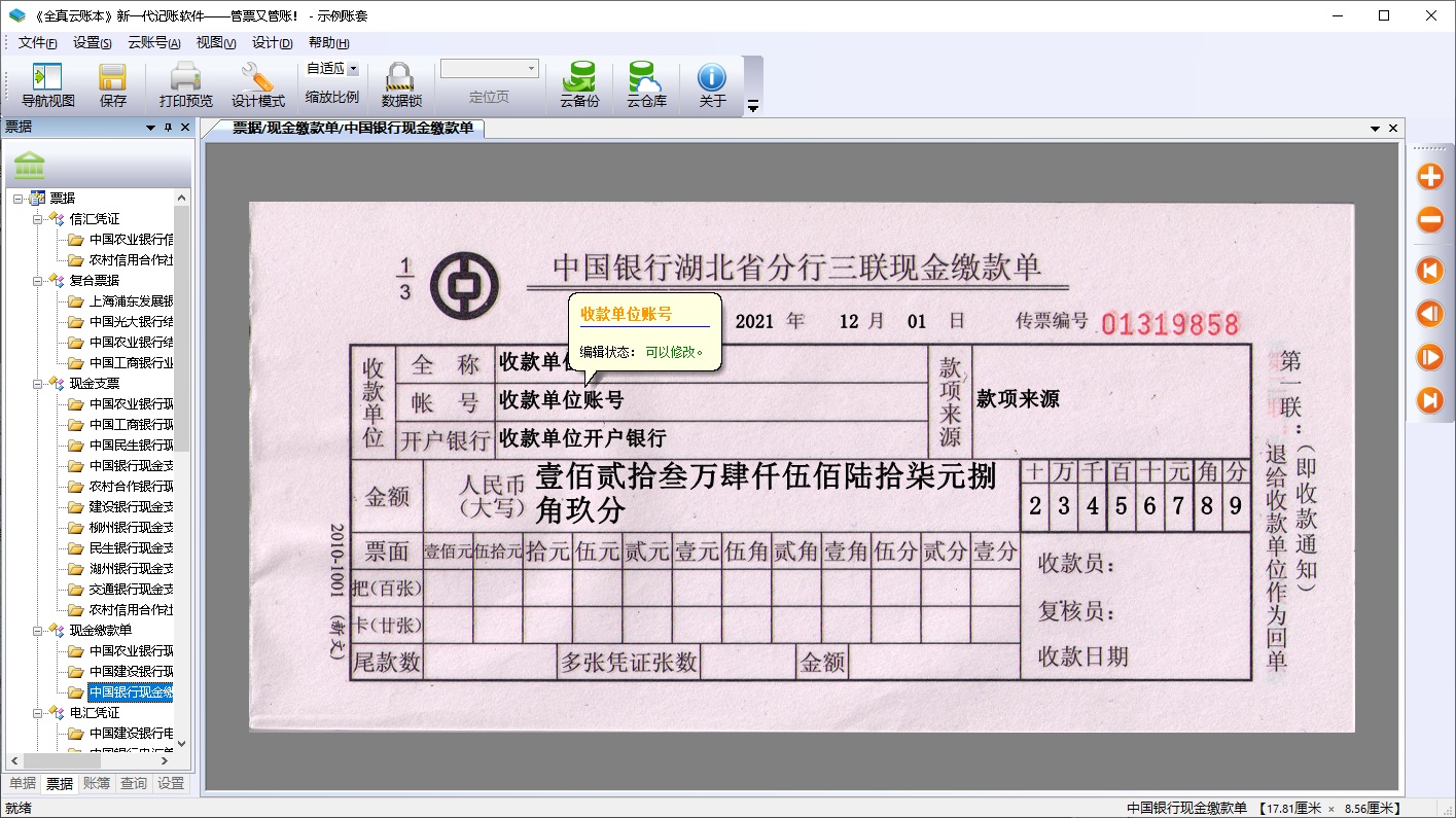 《全真云账本》账簿票据打印专家--新一代的记账软件